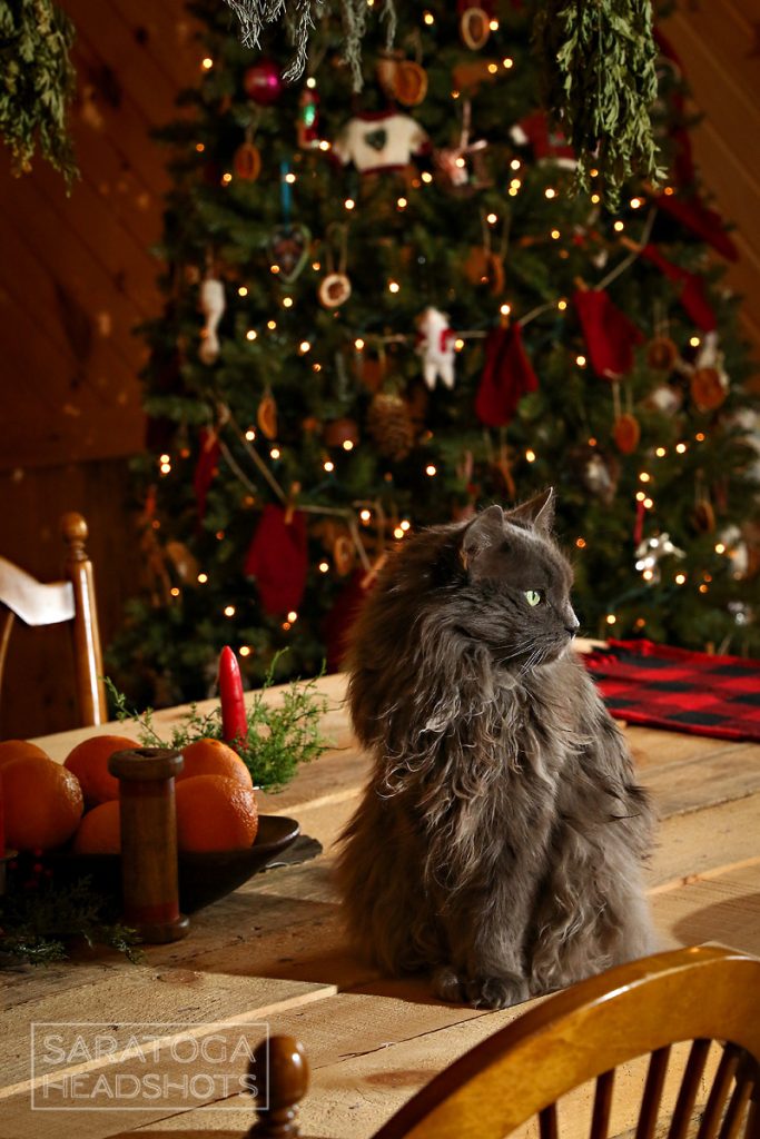 Saratoga Brand Photography