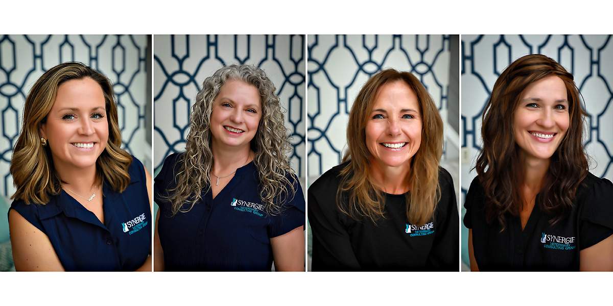 Corporate Headshots Saratoga NY